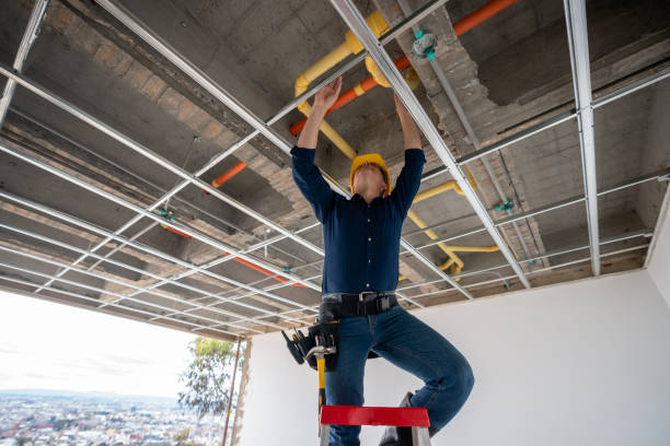 Best Commercial Plumbing Services  in Bonsall, CA