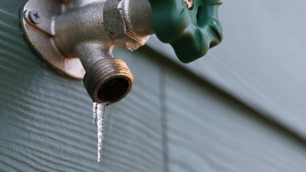 Best Residential Plumbing Services  in Bonsall, CA
